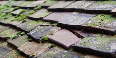 Clearwell roof repair costs